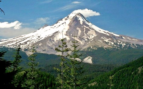 Mt. Hood from the viewpoint along the Palmeter Loop Trail