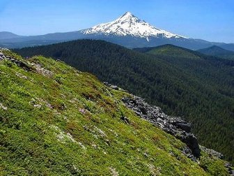 Looking south toward Mt. Hood from the summit of Chinidere Mountain