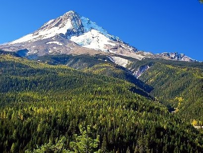 Mt. Hood seen from the East Zig Zag overlook