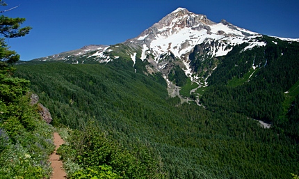 Mt. Hood from the Bald Mountain overlook