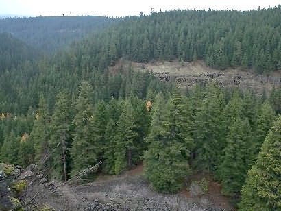 White River Canyon as seen from the Keeps Mill Trail