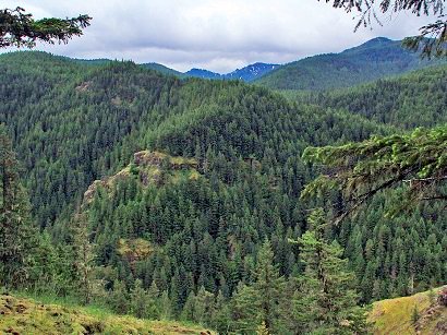 Salmon River Canyon from the trail