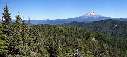 Mt. Hood as seen from the summit of Tumala Mountain