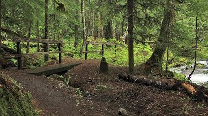 Trail to Little Zig Zag Falls